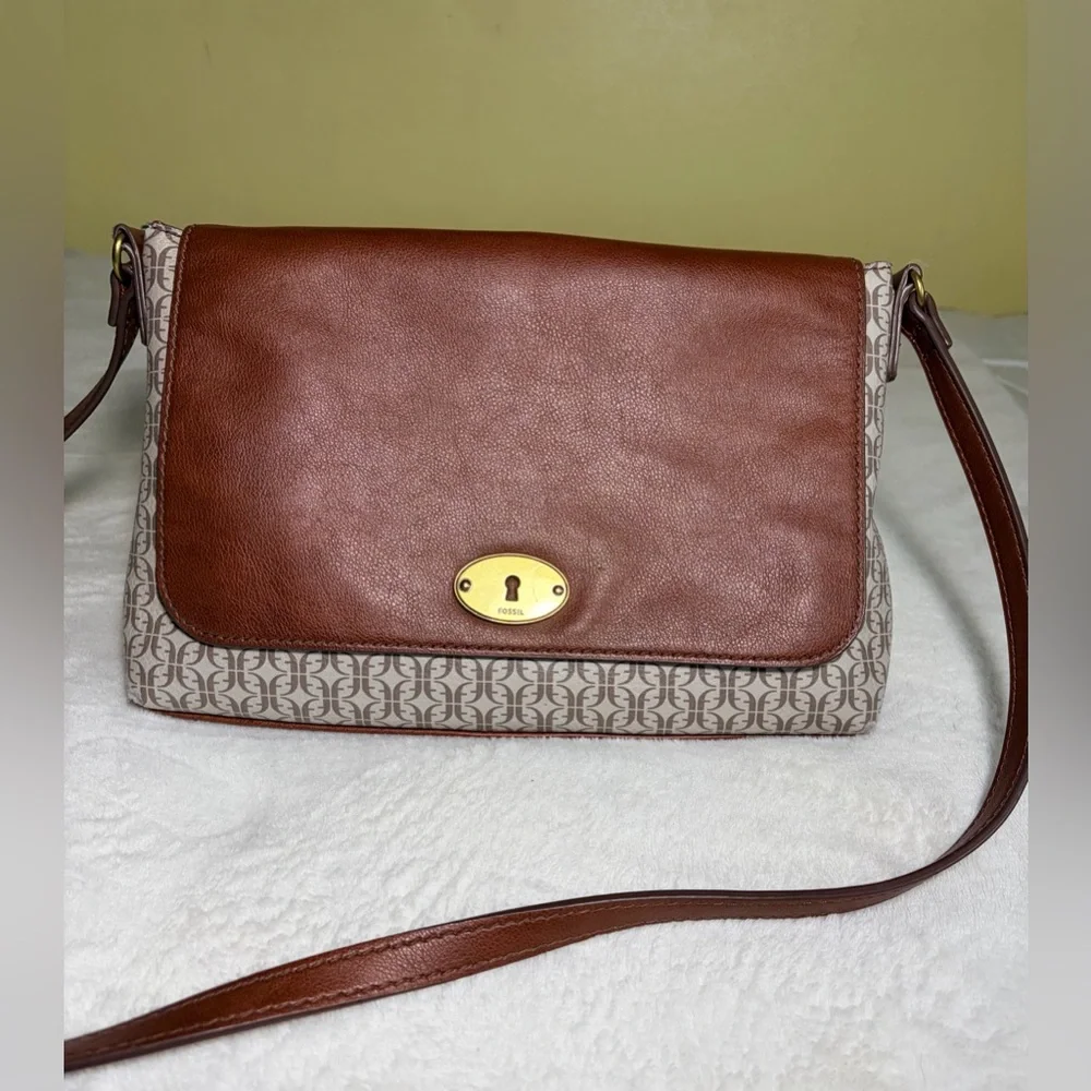 Fossil elegant brown